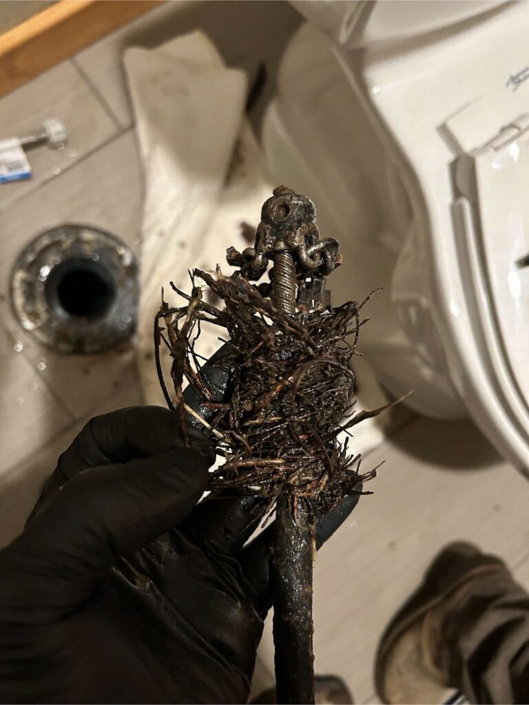 tree roots clogging sewer drain line before local hydro jetting services in Wenatchee, WA