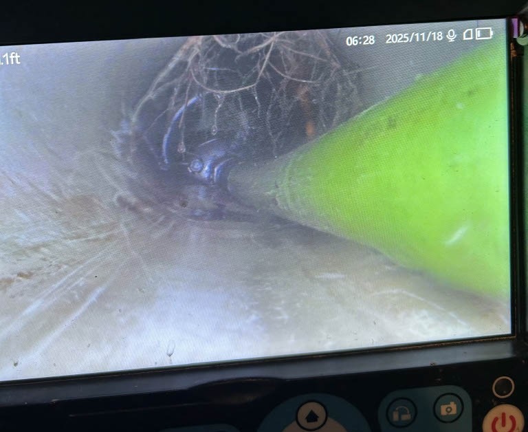 tree roots inside sewer line shown during camera inspection performed by A&N Plumbing.