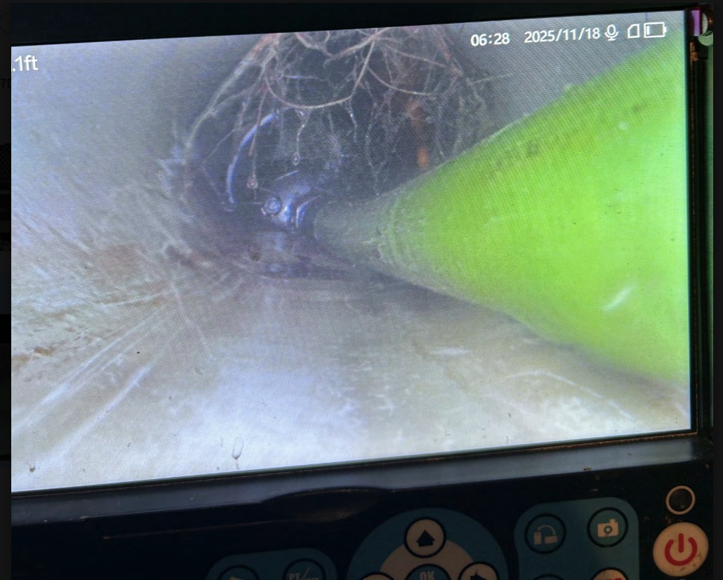 Sewer camera inspection footage from A&N Plumbing showing tree roots growing into a customer's sewer line.