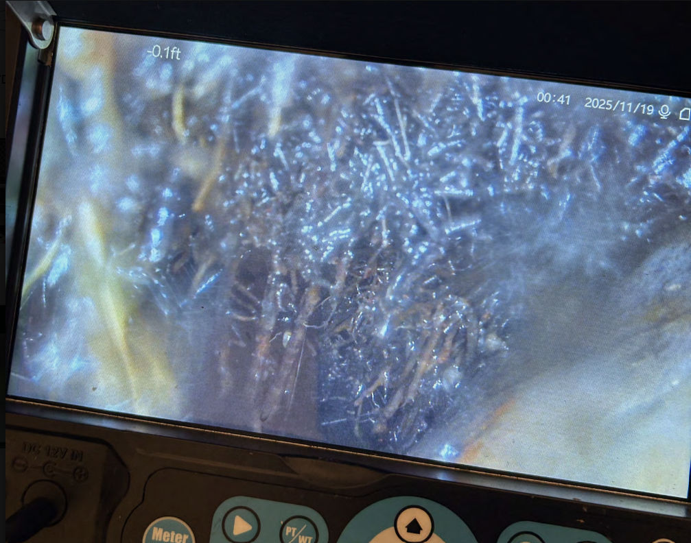 Live sewer camera footage showing root intrusion inside a Wenatchee, WA sewer line.