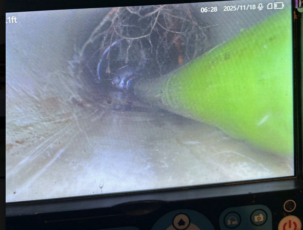 Sewer camera monitor showing root damage inside a main line before trenchless sewer repair.