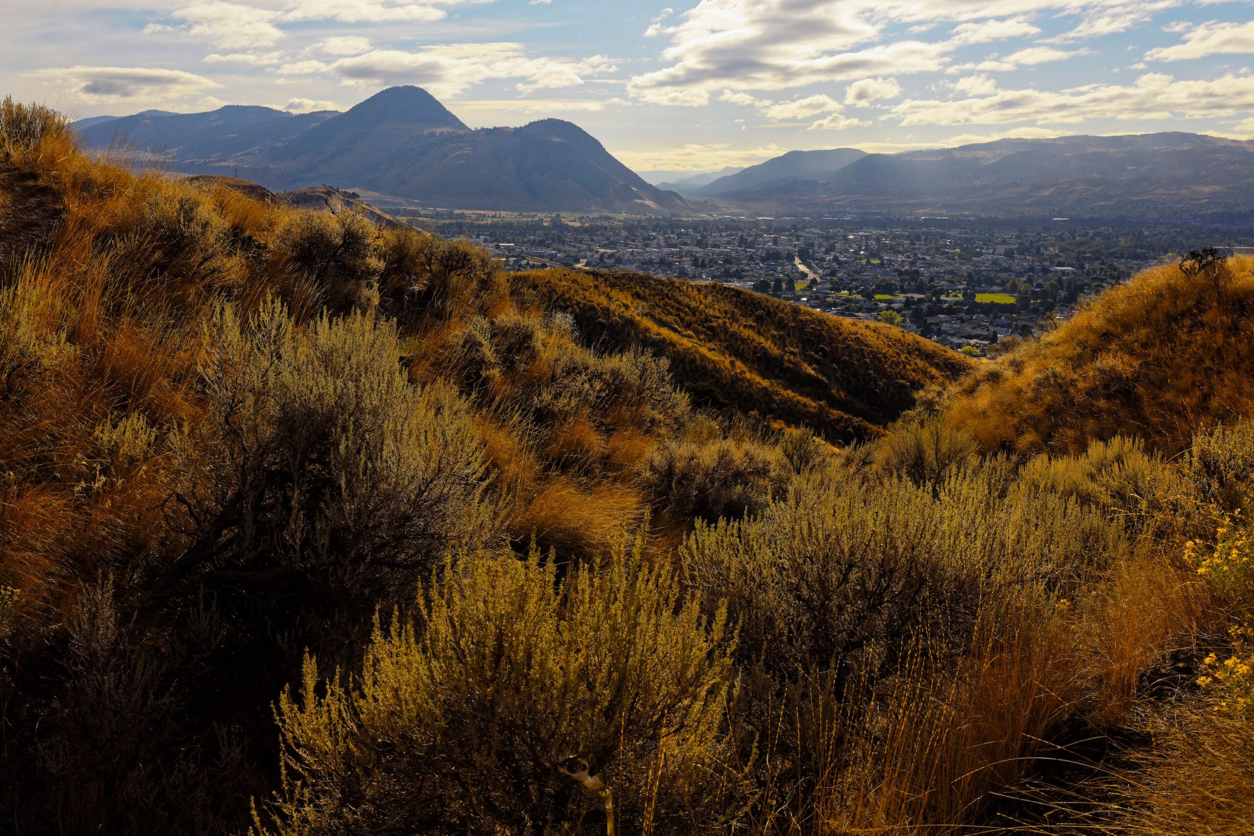 Hillside view over Wenatchee, WA, where A&N Plumbing provides trenchless pipe lining services.