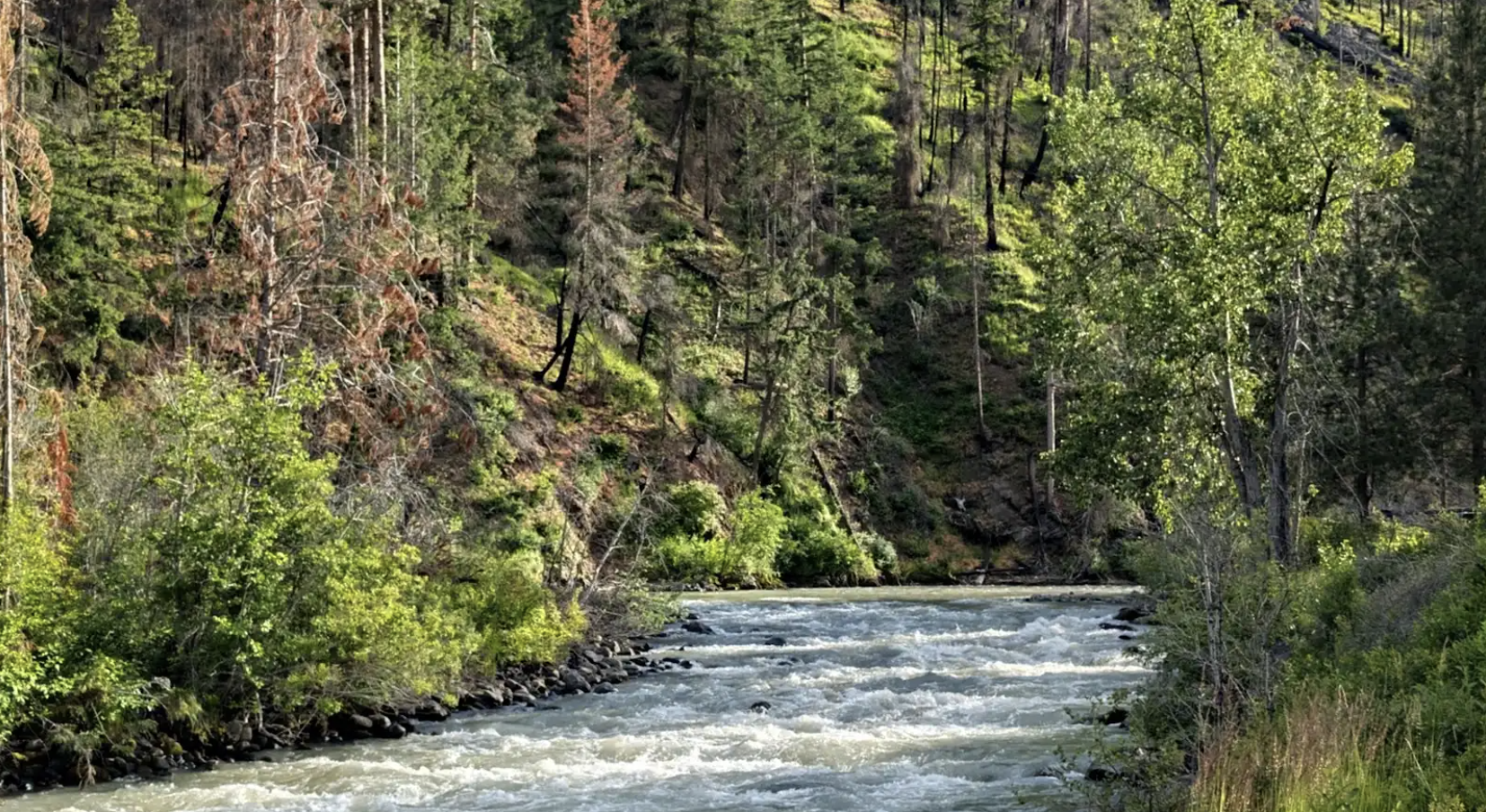 A forested mountain river near Wenatchee, WA, served by A&N Plumbing's water heater services.